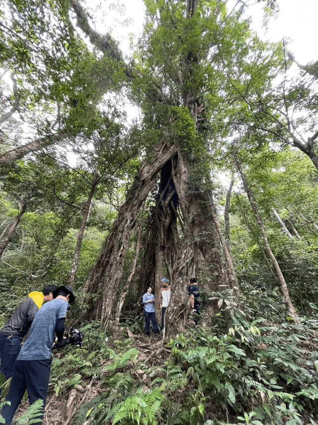 动物|探秘雨林、设计皮影……学而思网校素养课制作的幕后花絮