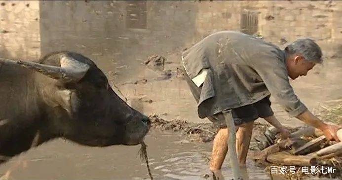 因为|由《活着》改编，剧版《福贵》高达9.5分，却因演员无名气被埋没