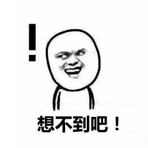 网友|柯基爬山总被台阶卡住，主人只能拎着爬，后悔带上小短腿！