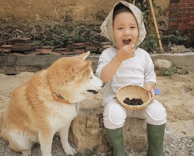 奖励|原来狗狗这些行为,是在“担心”你,真没养错狗