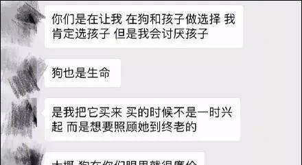 因为|还在说怀孕不能养狗？这两只柯基都进产房陪产啦