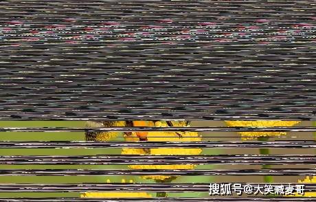 8f6a8455b14b4f51b2691f6138a91b32.jpeg