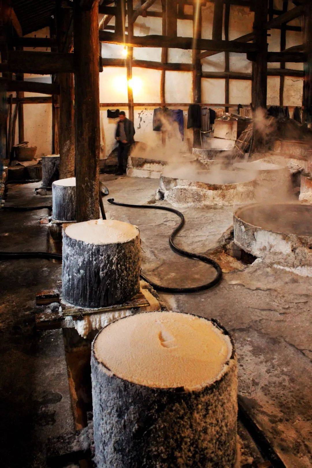 世界最好的恐龙博物馆 千年古盐都,自贡这是要火啊_化石