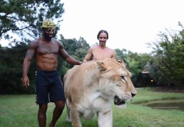 世界上最大的泰坦巨兽 257e41479a2640fb894914b43c1ceca8.jpeg