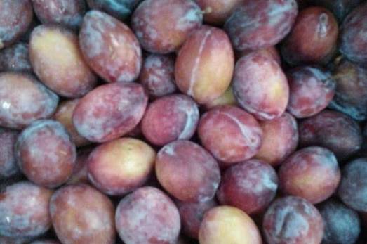 人体|最“燃脂”的四种零食,紫薯干算个,常吃最后想长胖都难