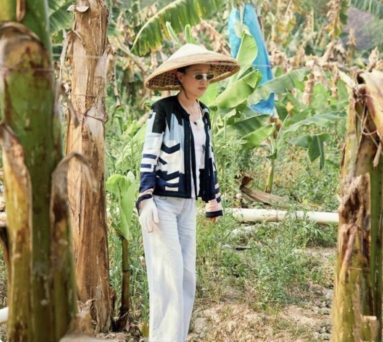 农活|周迅有钱任性，穿4万多的“香奈儿”干农活，戴顶草帽还挺接地气