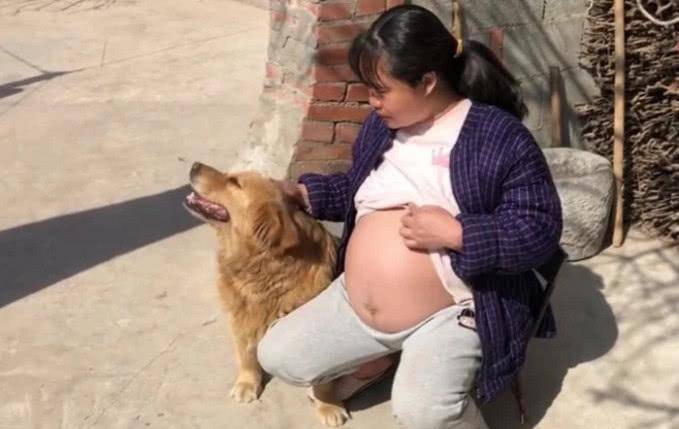女子怀孕期间，故意在金毛面前露出大肚子