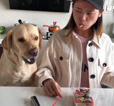 心生|女主吃零食不给狗狗吃，狗狗心生一计，随后做出的事情让主人恶心！