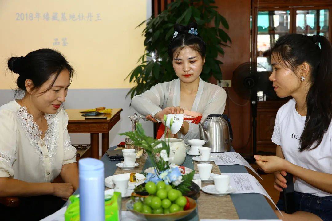 老树新茶开泡,高香与甜韵俱佳.