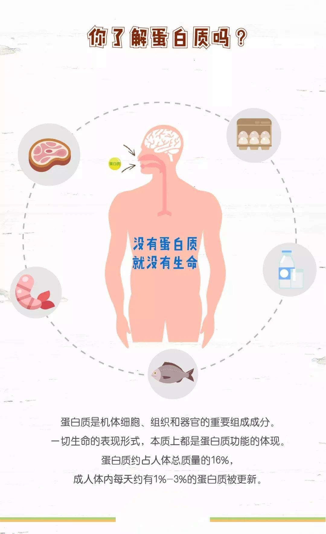 鑫景健康管理:蛋白質對減肥的重要性