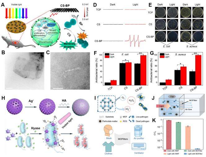 四川大学程冲研究员课题组生物催化纳米抗菌材料的结构设计和应用