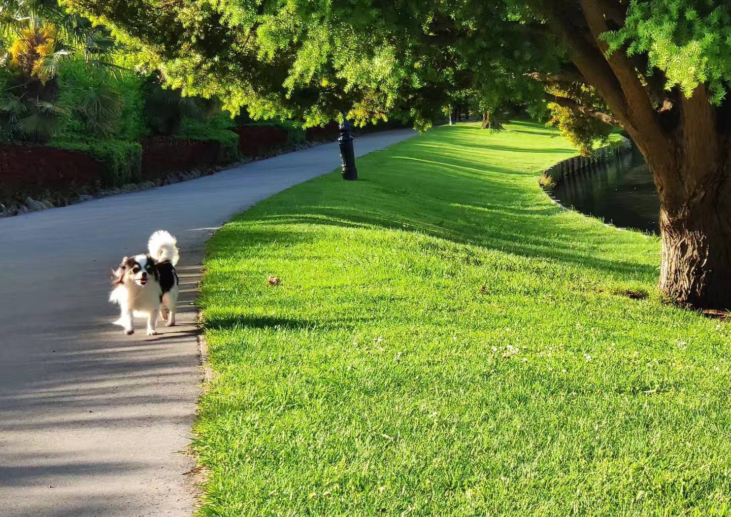 国立联合理工学院本科毕业难度是否有网上所说的那么难 升学 恒艾教育