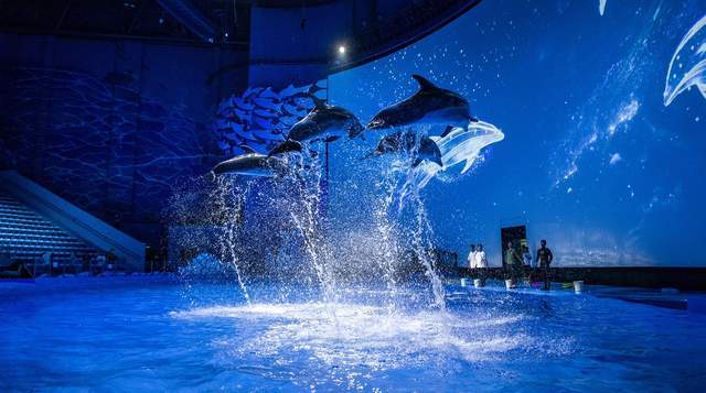 活动|亲子游掀起产品力升级浪潮 哪些火爆产品引领疫后复苏？