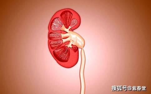 治疗|紫癜肾炎患者有什么忌口的吗？紫癜肾炎能吃韭菜吗？