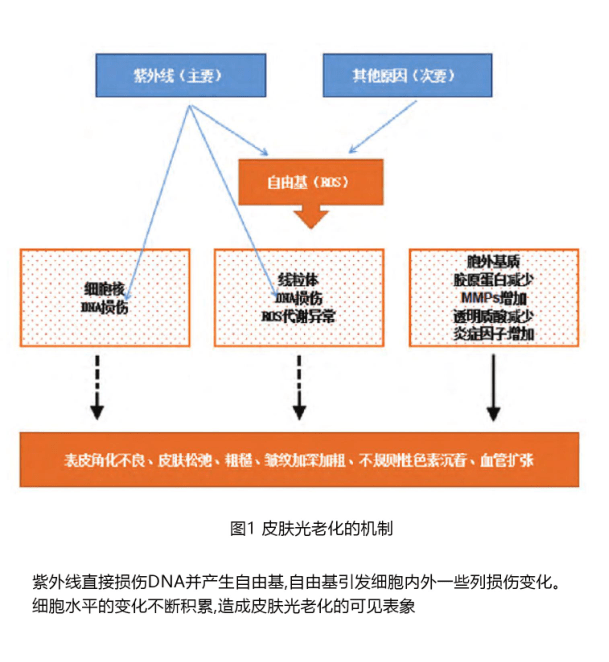 产品|夏季如何晒后修复？ 修复界天花板活玉有妙招！