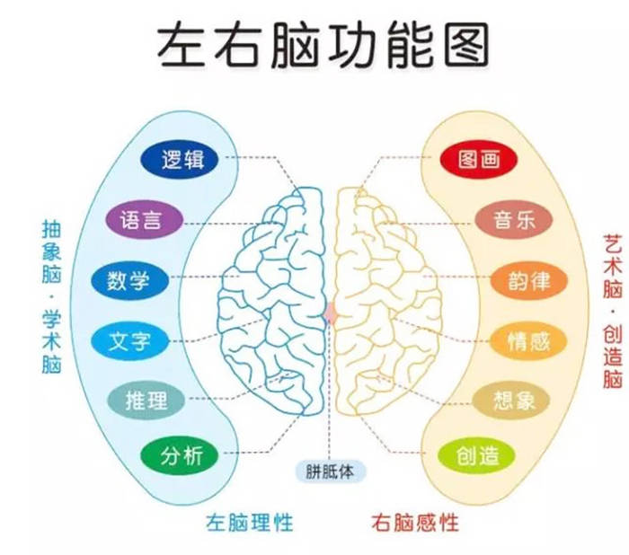 ps:照片是分開展示的,左腦看到的,右腦看不到,右腦看到的,左腦也看不