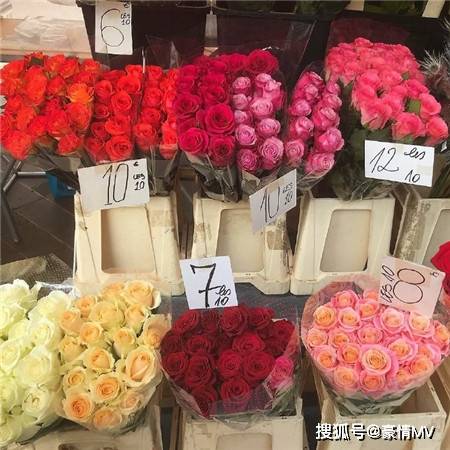 21唯美高级感鲜花背景图 浪漫的高级感鲜花束图片素材 粉紫色