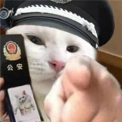 猫咪警察指人表情包图片