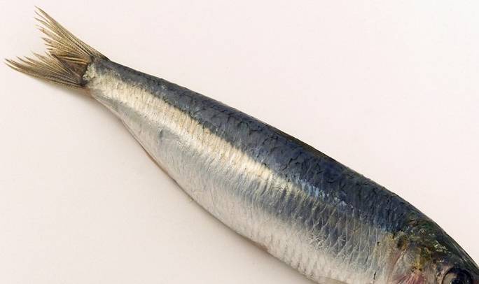 肾脏|尿酸增高的人，通常会有3种表现！提醒：2少、2喝、2吃，助控尿酸