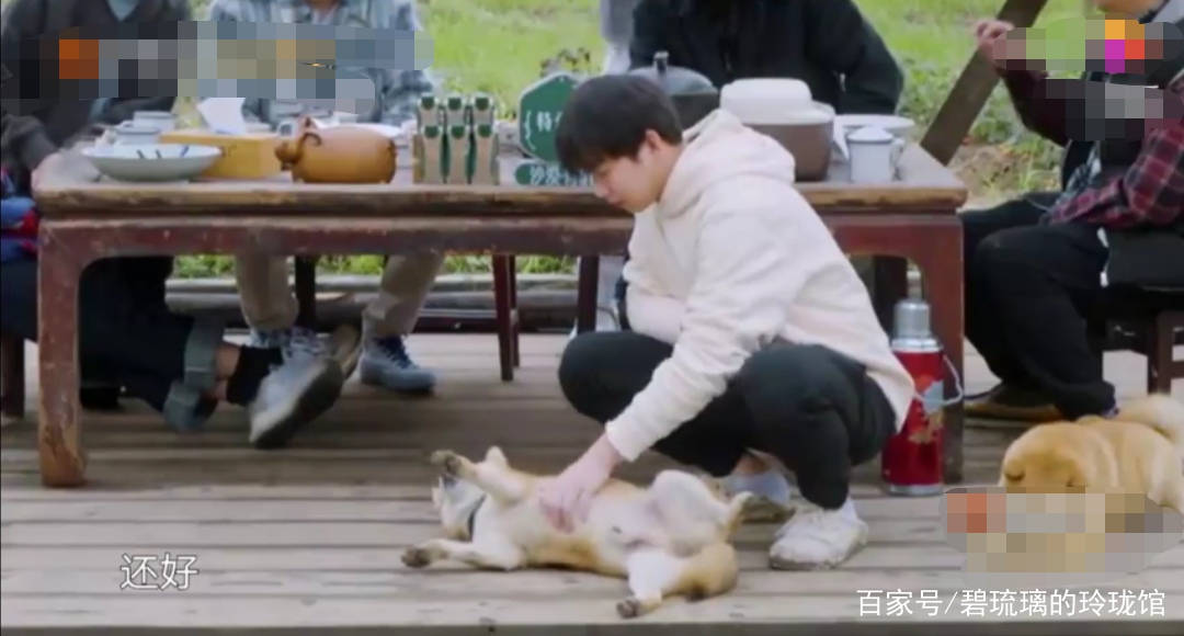 青春|吴亦凡臭了，彭昱畅火了，《燃野少年的天空》真的很尬吗？