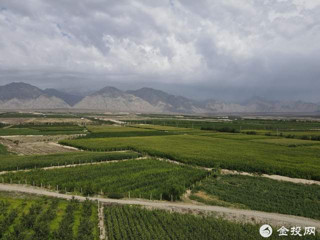 焦煤|葡萄酒对华出口暴增83%！美国贸易代表：支持澳洲“抗击”中国