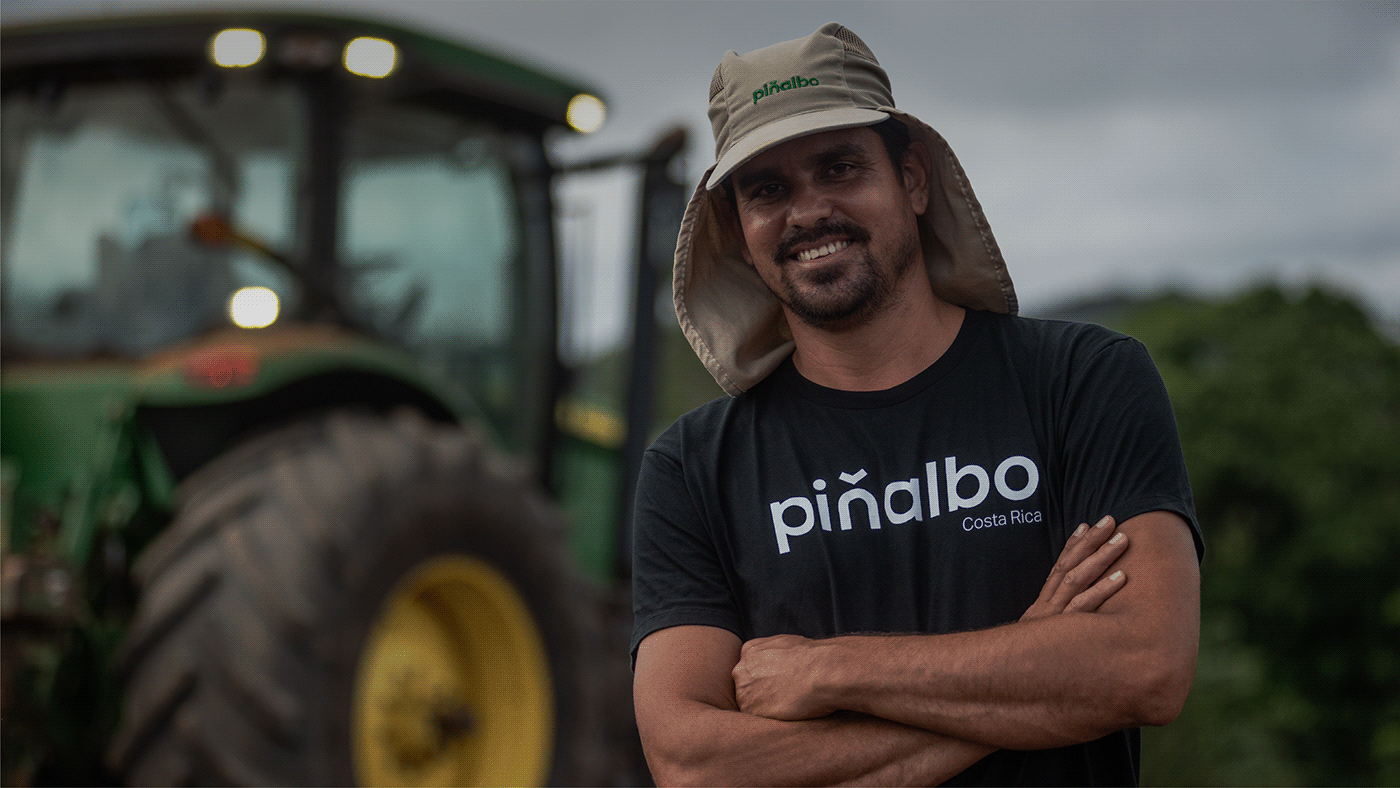 Atelier|平面设计 | Pi?albo 哥斯达黎加水果品牌形象设计