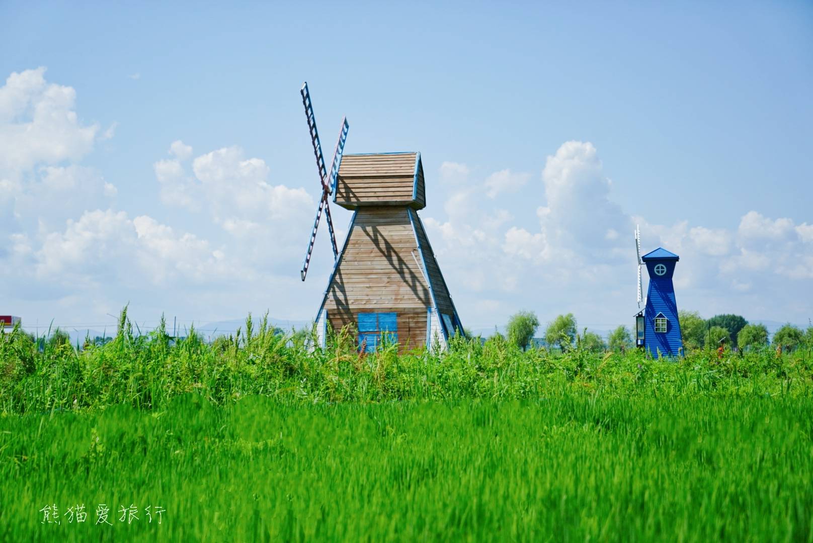 一望无际的诗意稻田,小桥流水浪漫风车,木质景观栈道和网红玻璃栈道
