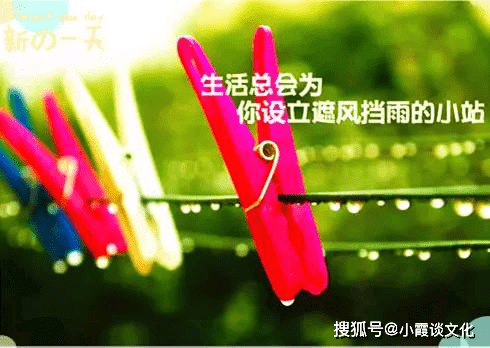 如何让自己有个好心态 9cca00a18f374fab8f698f29a024e7fe.png