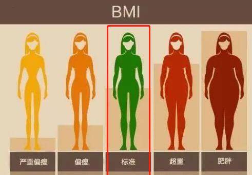 如何知道自己的体脂是多少 a36b49b306d742ff8aa71de06540bc9c.jpeg