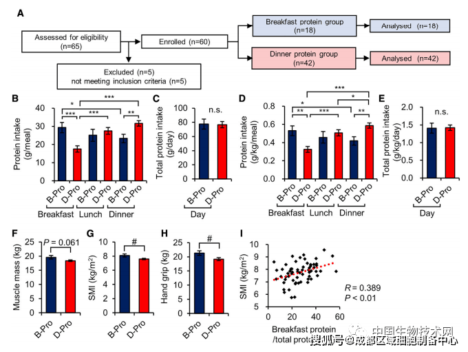 补充|想要强身健体效果显著吗?那就在早餐补充更多的蛋白质!