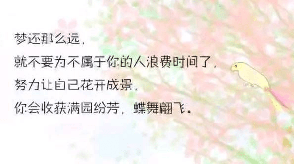 0cef44501b824790ae4a84502c7e5f88.png