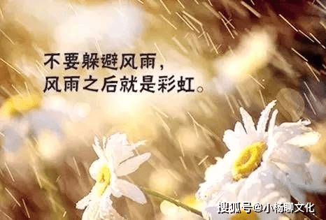 1642088a095d4bfa896b4cf35b1b1fd8.png