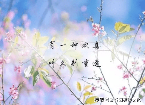 4ed9547f0aaa4465ba5c1f9a710dd0dd.png