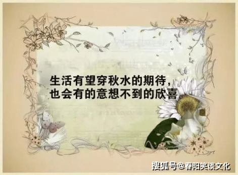 e5c4161df3fb4db6bac5e06b5d3fd557.png