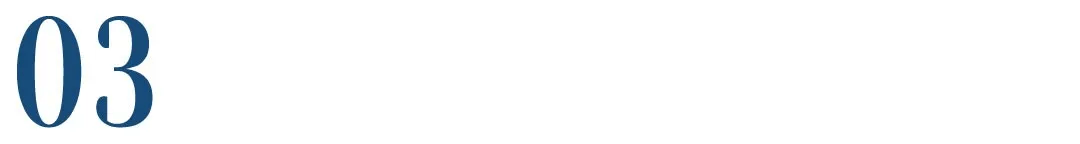 Great|宠物门店如何打造上新即爆的商业路径丨笔记