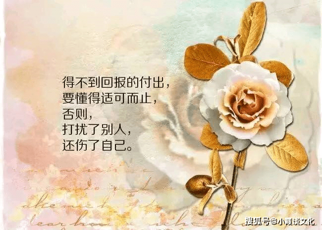 8726962165c245c5a90c01e9e0cd4c79.png