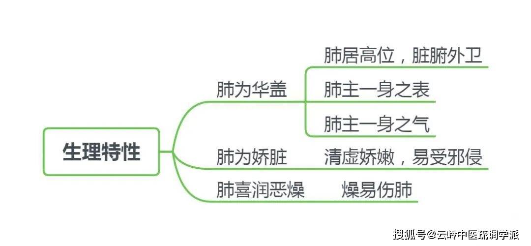 《疏调云讲堂》第五十二期 中医气机理论(十五)_人体