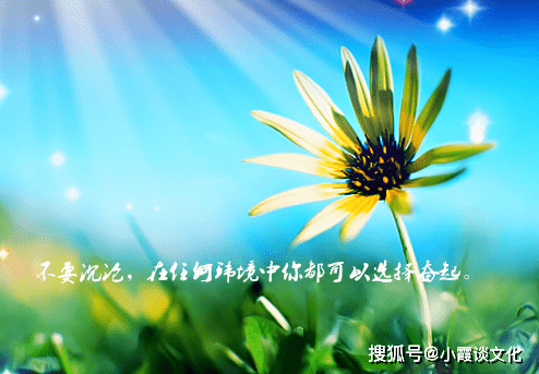 140d6e8b5780458e95004ed8fe9a8f14.png