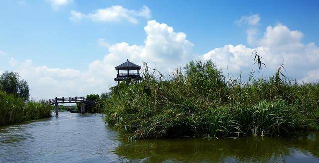 浙江最大的湿地景点，离杭州不远，人少景美，防风女婿茶更是有趣