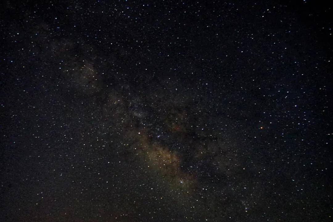 夏日长|大暑 | 长夏终有时，但惜夏日长