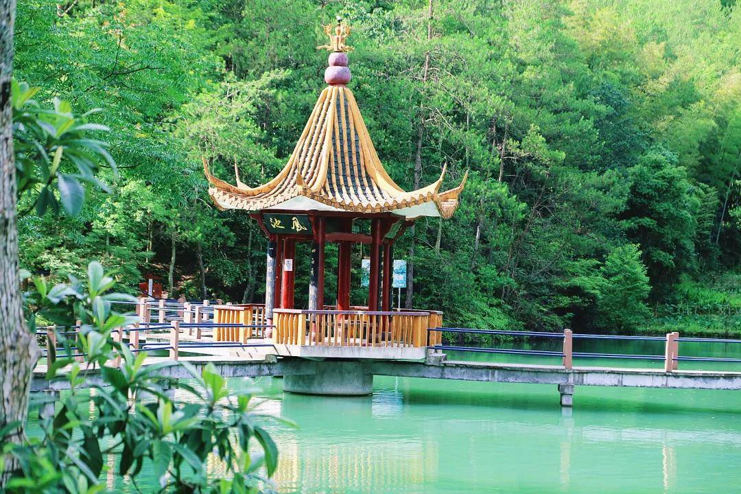 夏日长|大暑 | 长夏终有时，但惜夏日长