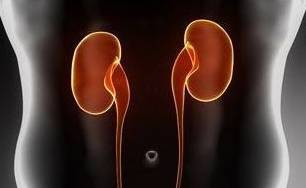 造血|肾病就是肾痛?错!身体出现这4种情况可能就是肾在求救