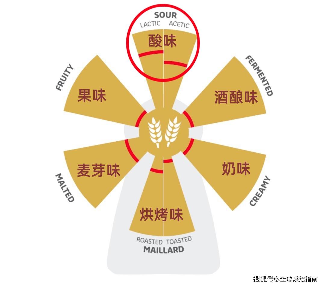 麵包也有風味輪了？教你打造消費者最愛的六大麵包風味！ 熱愛美食 第25张