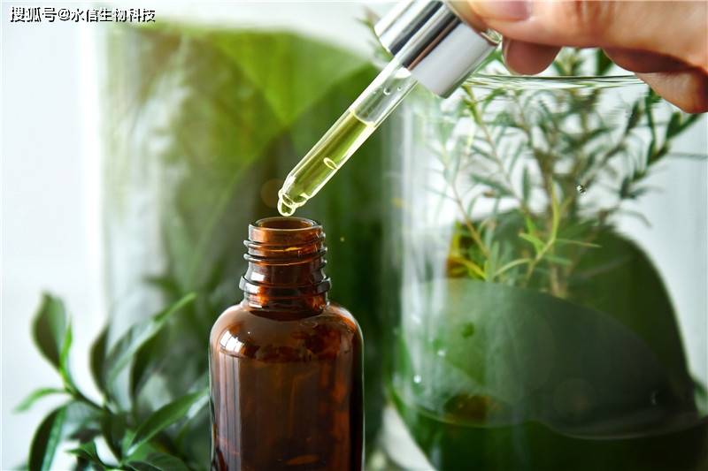 水信|各大品牌的心头之爱，二裂酵母[水信生物]