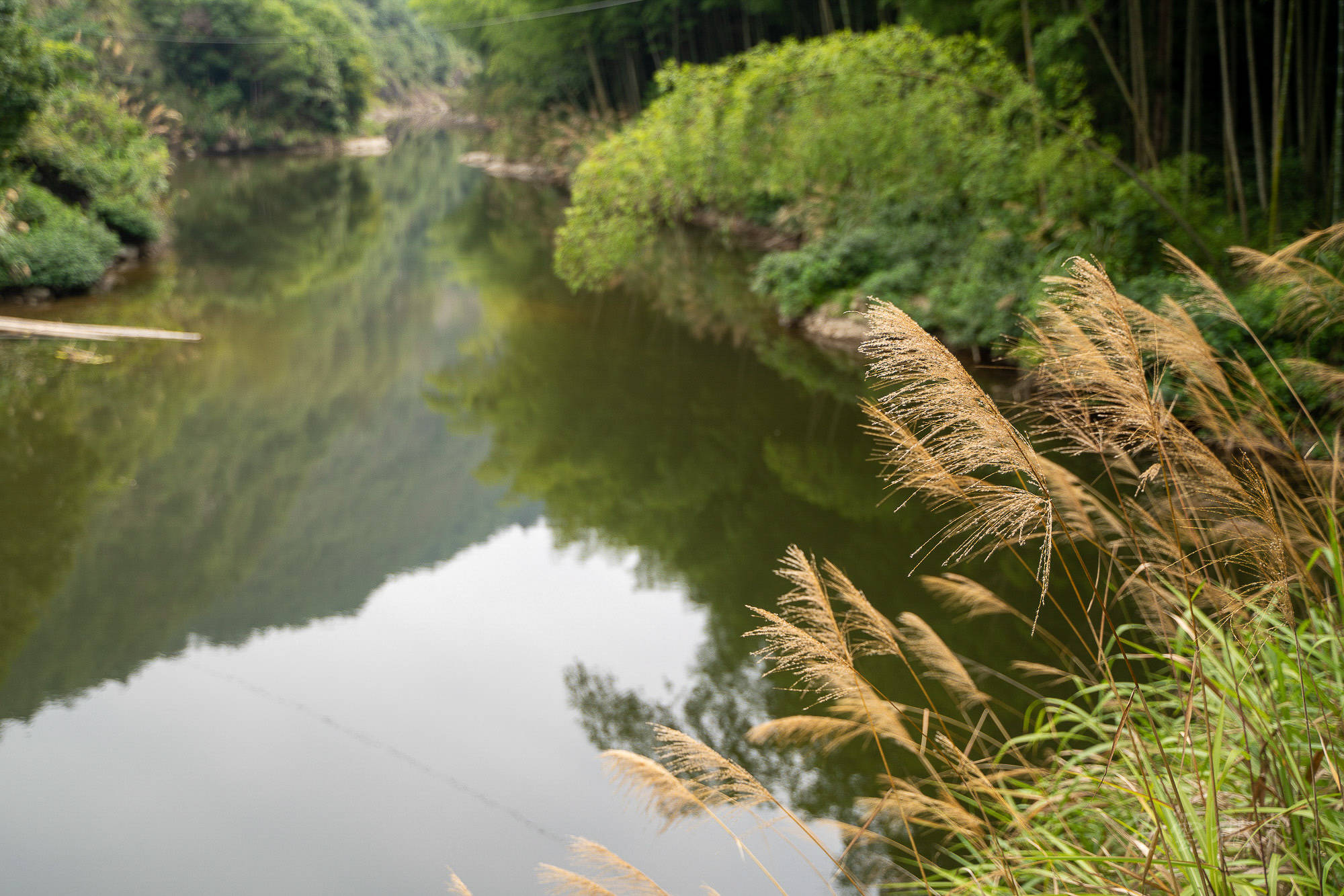 温州|泰顺泗溪深山秘境九里潭，风景优美人少还免费，要去的赶快！