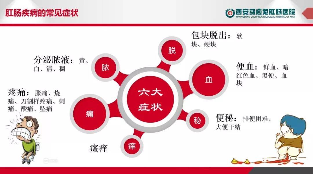 直肠|肛肠科主要看哪些疾病？