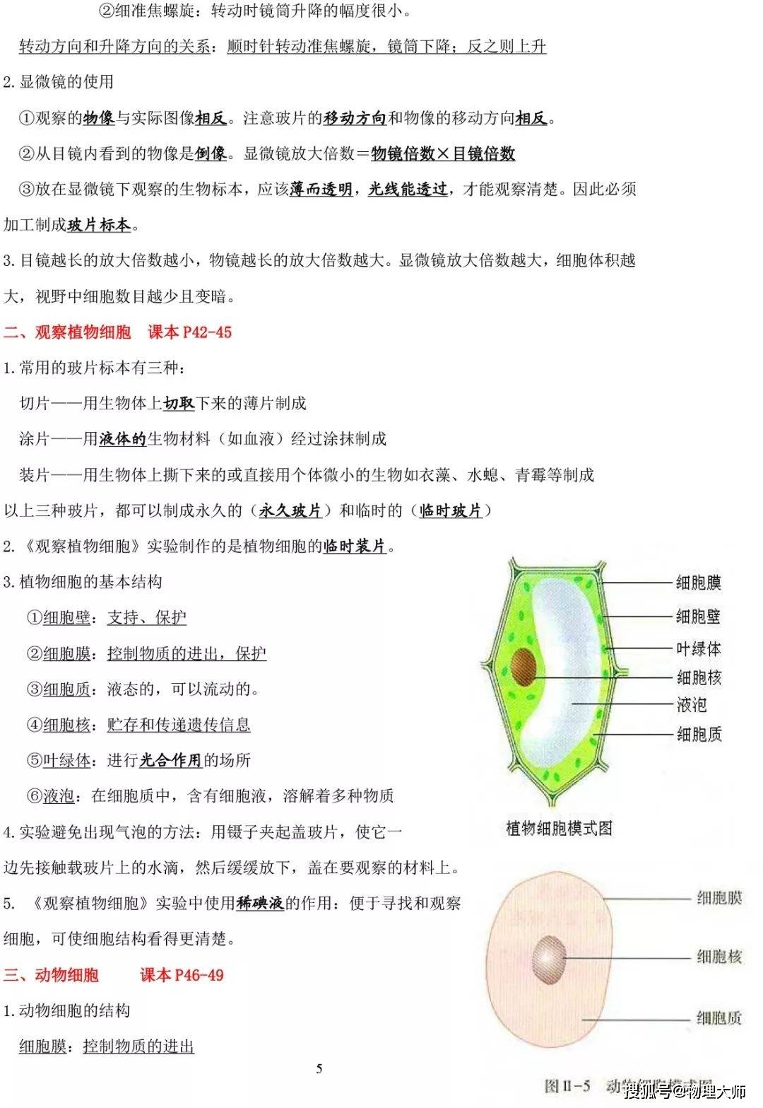 3164a0a7202d41cf998926d82dca5ae2.jpeg