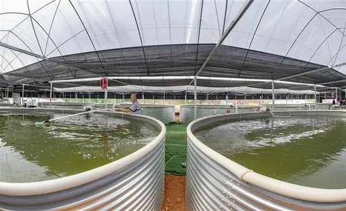 新型水产养殖技术 新型水产养殖技术视频
