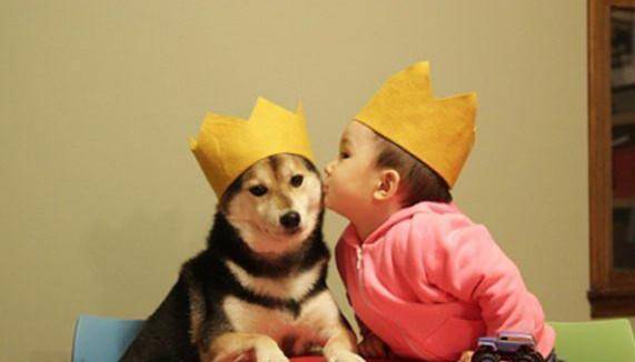 演技|狗狗抢小主人零食, 考验演技的时候到了, 我要告诉我妈妈