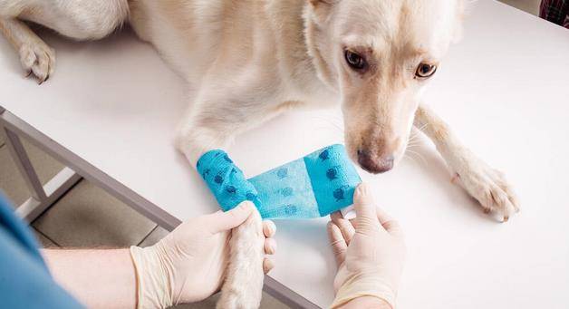 怎么快速止血结痂 5811fa1b9c424f5f8d0cb5b0d4fffc2f.jpeg